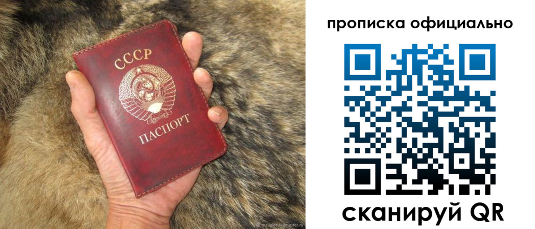 купить прописку в Сарапуле